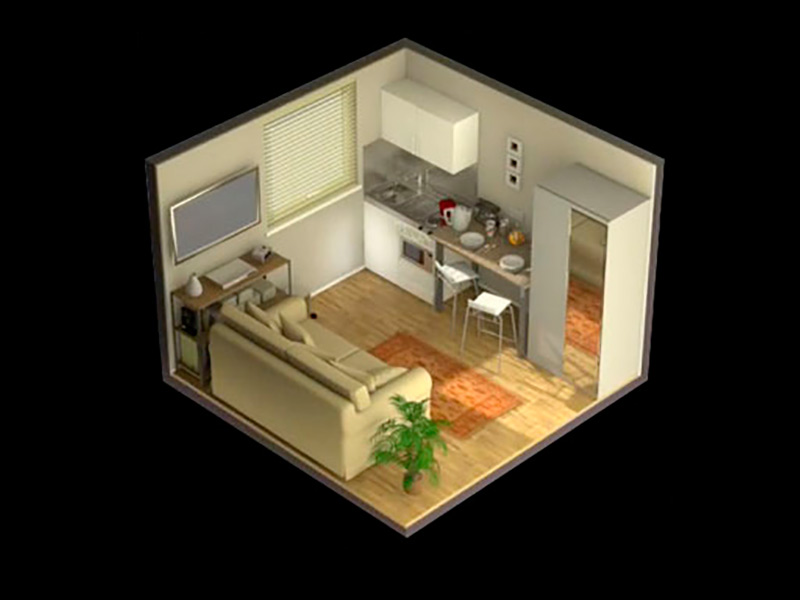 Image module